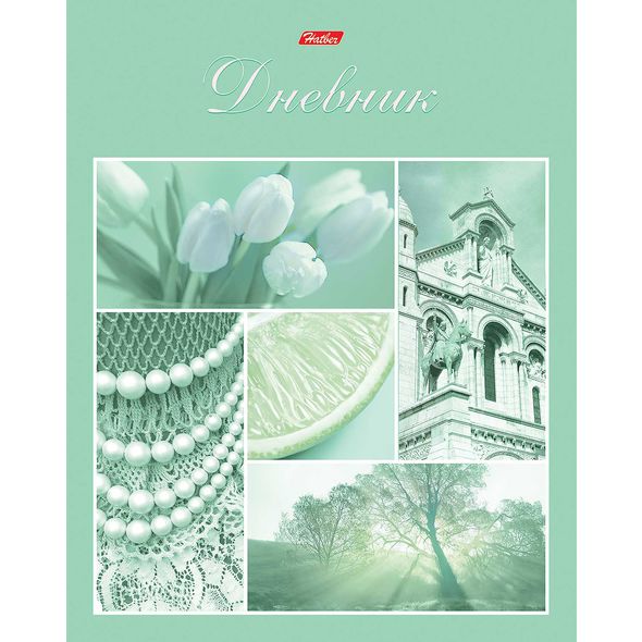 Дневник для 1-11 классов 40л А5ф ЛАЙТ интегральный переплет -Мятные грезы- , 